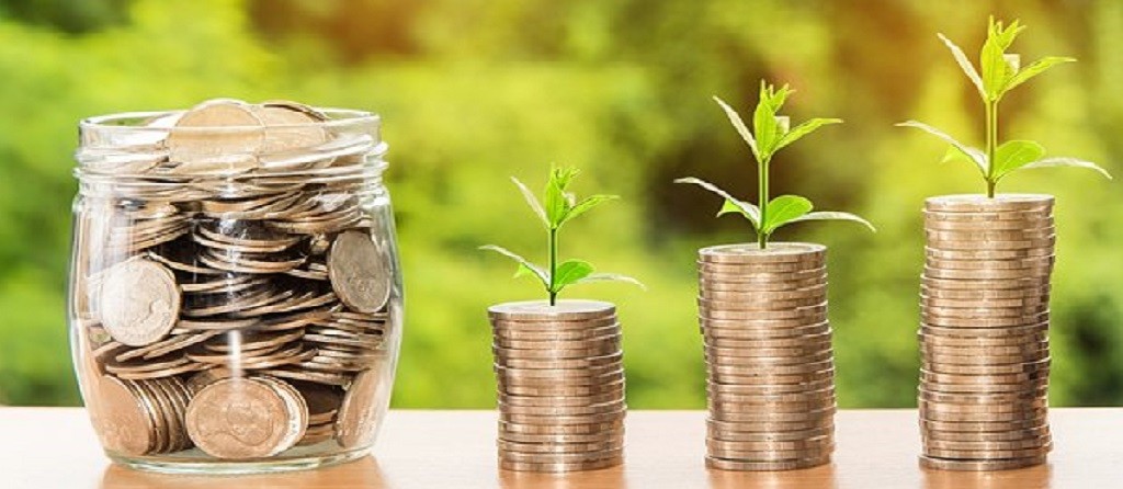 coins with growing plant